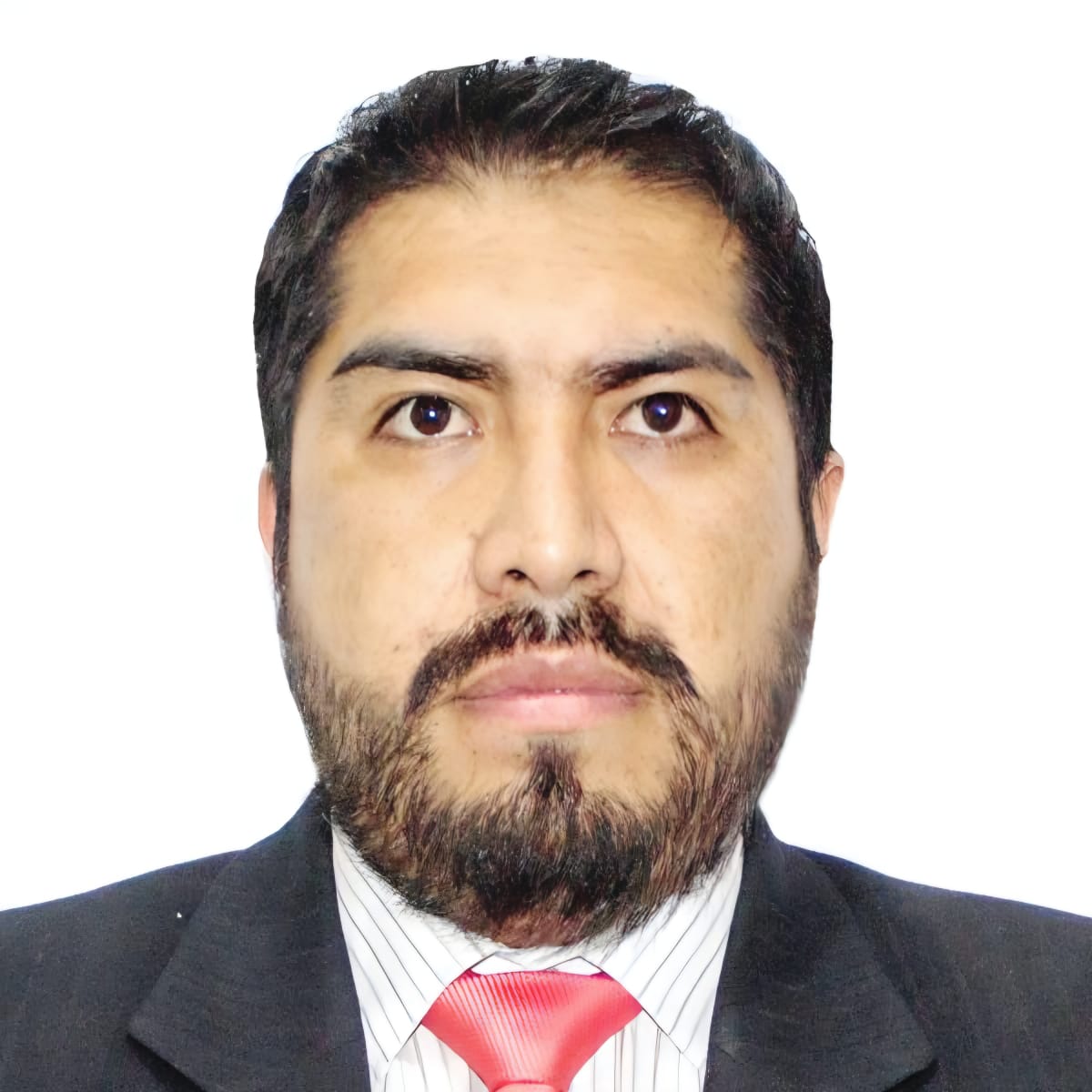 Descripción de la imagen